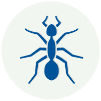 Ant-Control-icon
