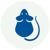 Rodent-Control-icon