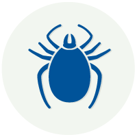 Tick-icon