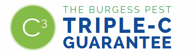 triplecguarantee