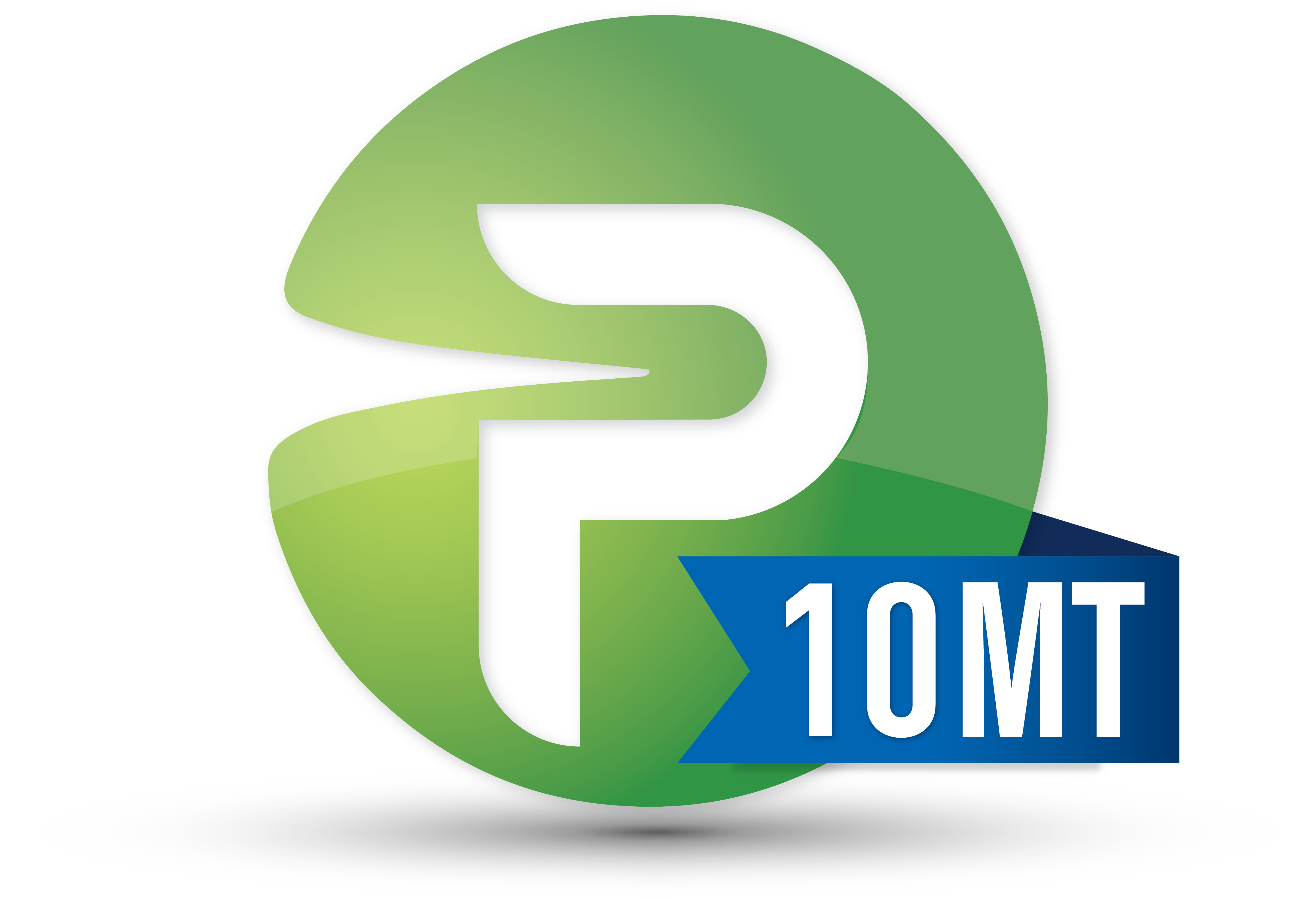 P10MT LOGO